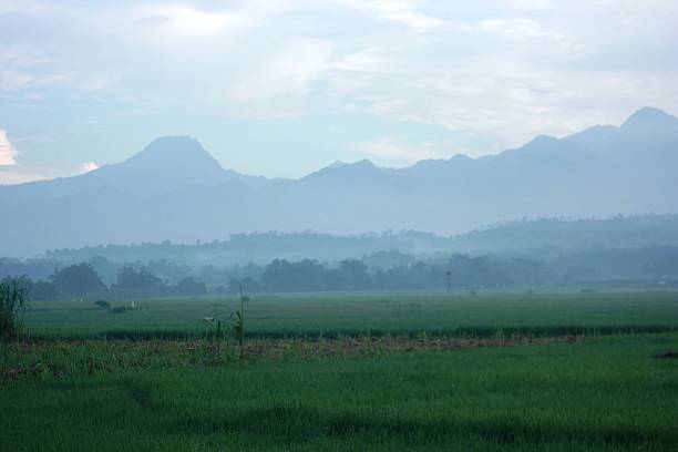 istock picturesque hills behind a rice field 623378674