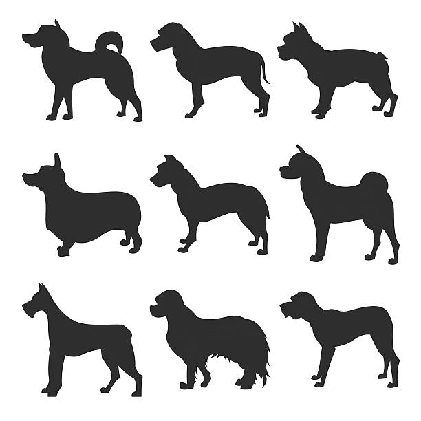zestaw psów sylwetka  - dog malamute sled dog bulldog stock illustrations