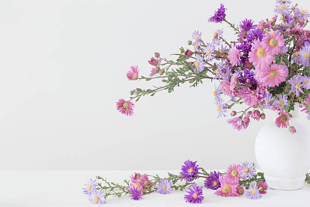 istock flowers  in ceramic vases on white background 623384750