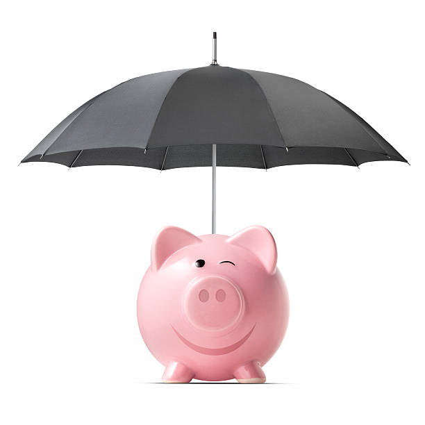 istock Piggy bank with umbrella 623420534