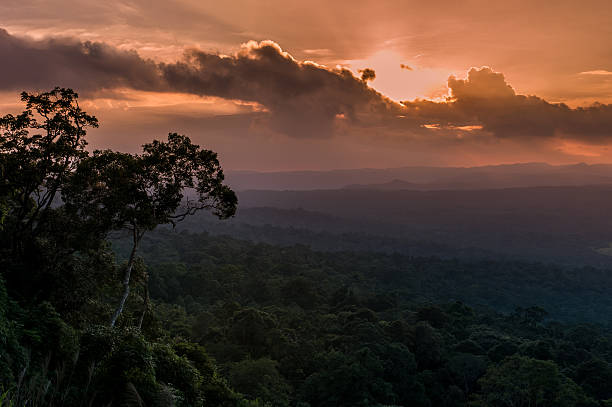 istock Beautiful sky at top view mountain in evening 623421760