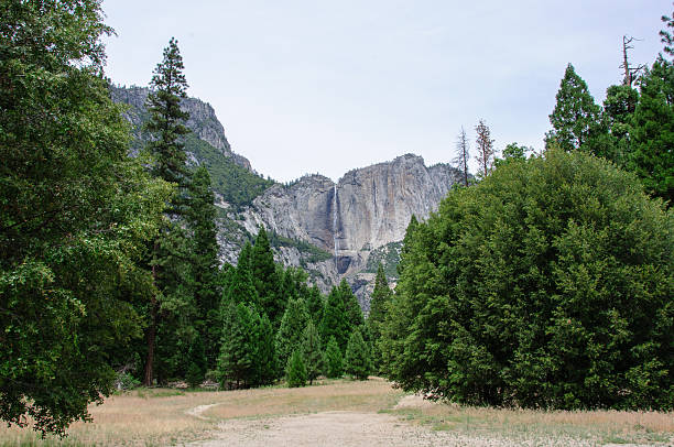 valley and yosemite falls im nationalpark, kalifornien usa - yosemite falls tree branch landscape stock-fotos und bilder