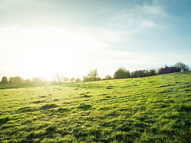 istock Northern Ireland farm on morning sunrise,UK 623429742