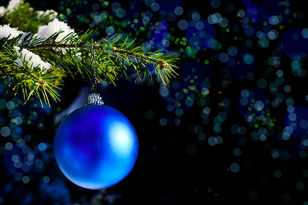 branche d’arbre de noël de la forêt avec ornement bleu - christmas tree branch photos et images de collection