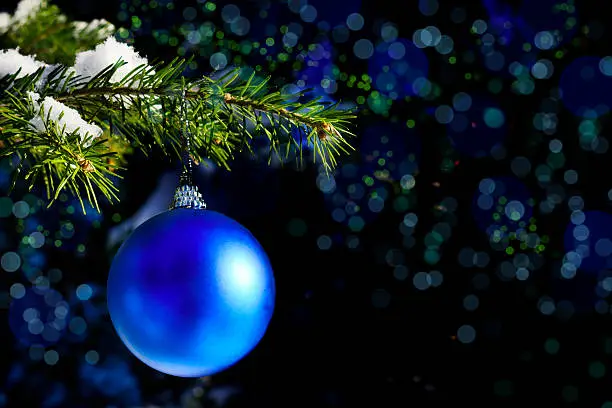 Photo of Forest Christmas tree branch with blue ornament