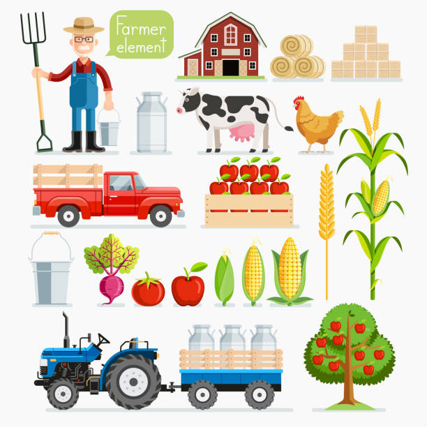 ilustraciones, imágenes clip art, dibujos animados e iconos de stock de conjunto de elementos de agricultor. animales de granja y de granja. - biology vegetable farmer fruit