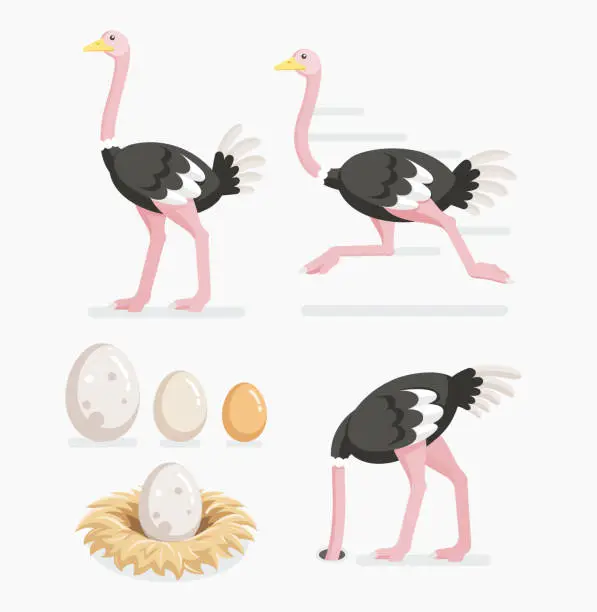 Vector illustration of Ostrich and ostrich eggs on the nests.