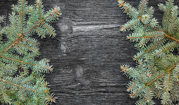 istock frame with spruce branches on a wooden background 623433462