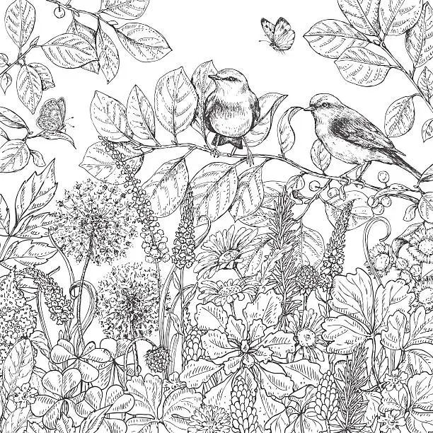 Vector illustration of Hand drawn wildflowers, butterflies and birds.