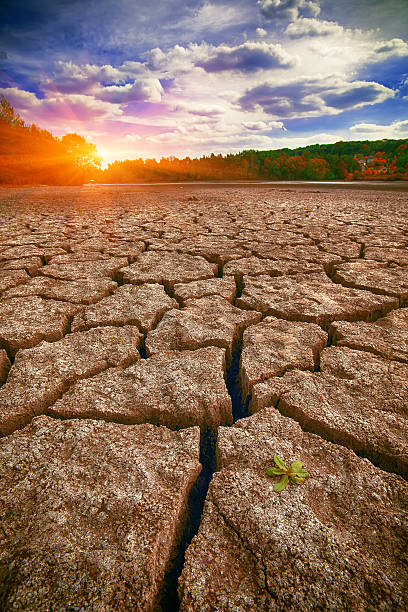 istock Land with dry and cracked ground 623438586