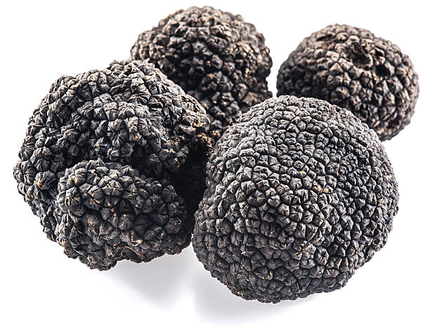 istock Black truffles isolated on a white background. 623438996