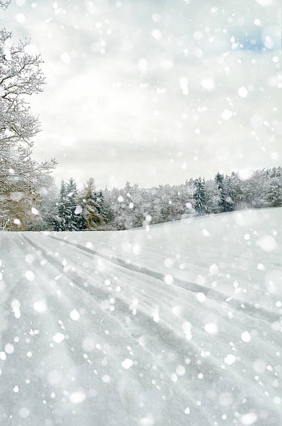 istock landscape in silent falling snow in winter 623439648
