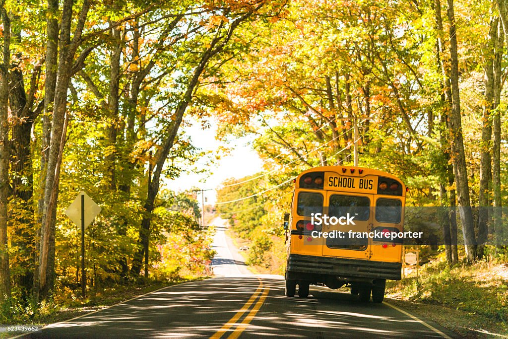 yellow school bus rear view on the road School Bus Stock Photo
