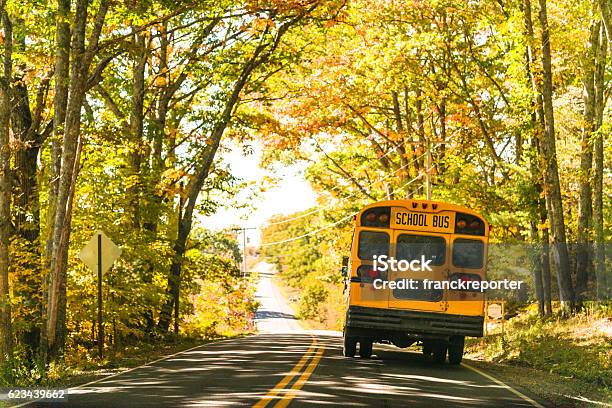Yellow School Bus Rear View On The Road Stock Photo - Download Image Now - School Bus, Back to School, Bus