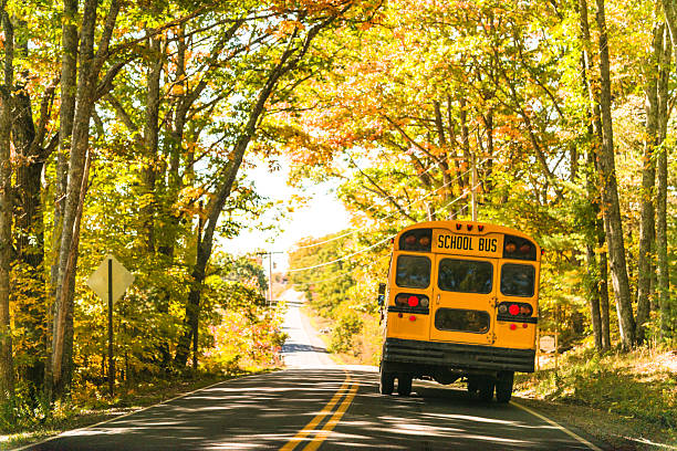 yellow school bus rear view on the road - school bus imagens e fotografias de stock