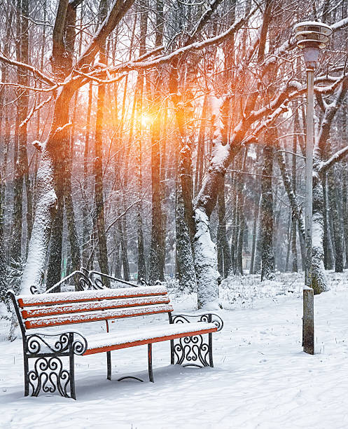 istock Park bench and trees covered by heavy snow 623440710