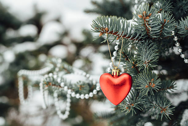 istock Red heart christmas decoration on tree branch 623441286