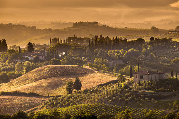 toscana village paesaggio mattutino scena vicino a volterra - tuscany italy sunrise rural scene foto e immagini stock