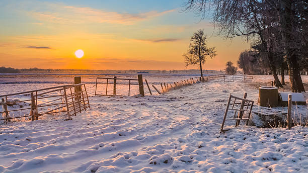Rising sun over Winter Landscape Rising sun over Winter Landscape with Snowy Fields and Blue Sky in Drenthe Netherlands wintry landscape january december landscape stock pictures, royalty-free photos & images
