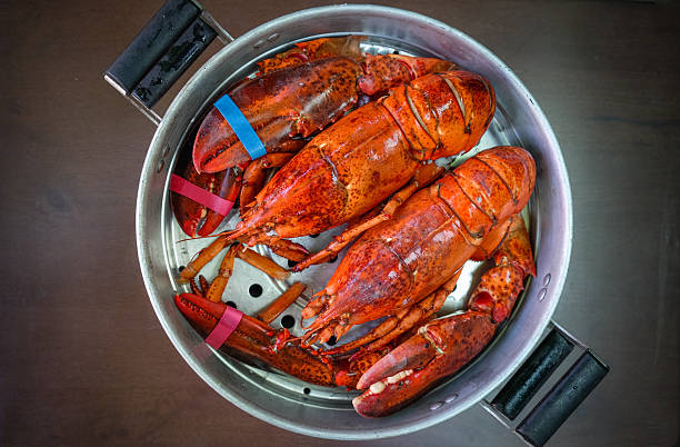 istock Maine Lobster in the iron steamer 623444470