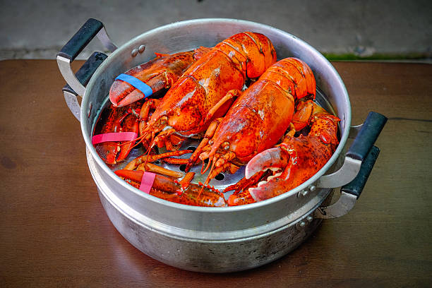 istock Maine Lobster in the iron steamer 623445162