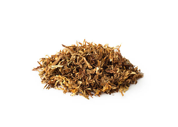 istock Dried smoking tobacco , isolated 623446888