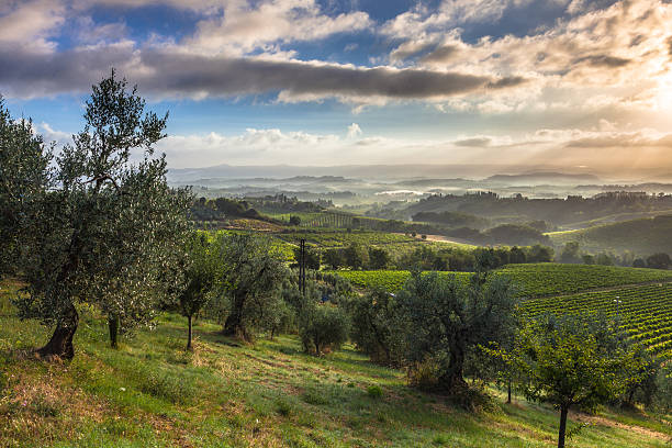 istock Early Morning Landscape in Tuscany 623447668