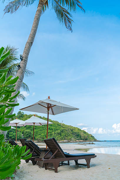 istock Beautiful beach chairs on tropical white sand beach 623450438