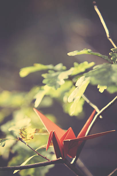 istock Red origami crane on a tree branch 623451960