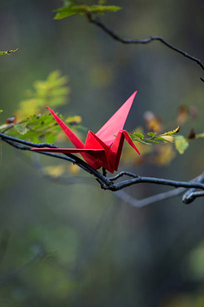 istock Red origami crane on a tree branch 623452246