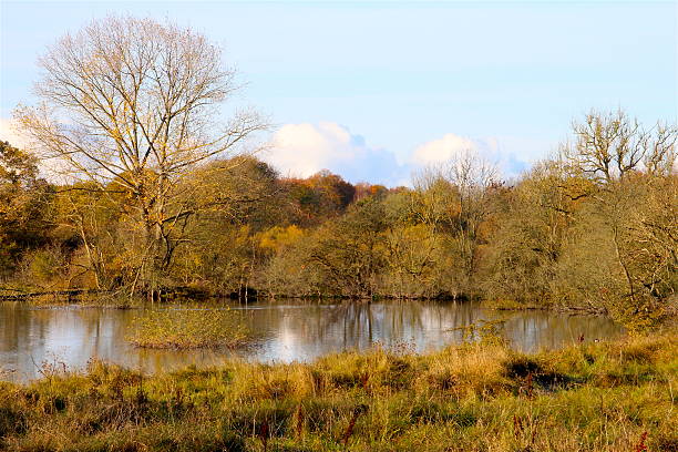 istock Lake in beautiful colors in November 623453872