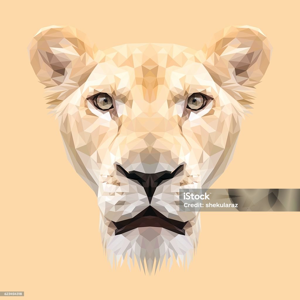 Lioness animal low poly design. Lioness animal low poly design. Triangle vector illustration. Lioness - Feline stock vector