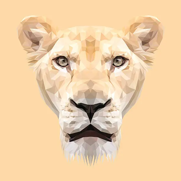 Vector illustration of Lioness animal low poly design.