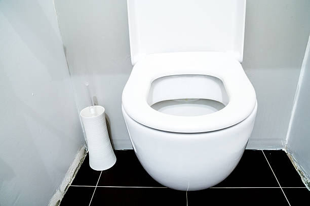 istock toilet in a modern bathroom 623455318