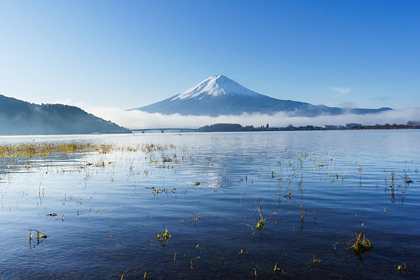 istock Mount Fuji and Lake Kawaguchi 623458846