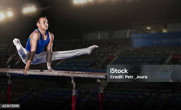 Portrait Of Young Man Gymnasts Stock Photo - Download Image Now - Gymnastics, Males, Sport