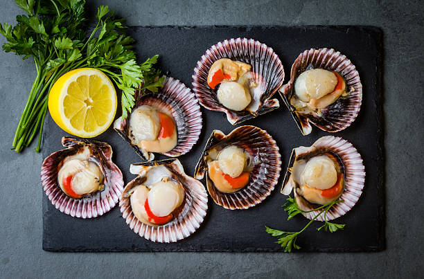 istock Raw scallops with lemon, cilantro on slate plate, white wine 623483806