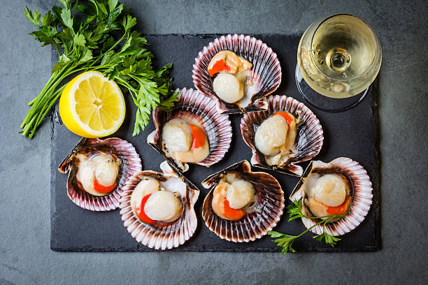 istock Raw scallops with lemon, cilantro on slate plate, white wine 623483942