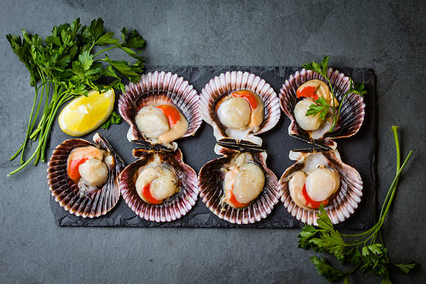 istock Raw scallops with lemon, cilantro on slate plate, white wine 623484080