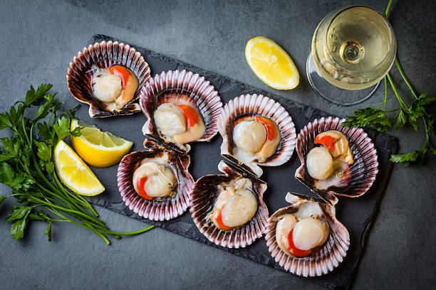 istock Raw scallops with lemon, cilantro on slate plate, white wine 623484240