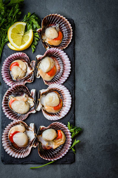 istock Raw scallops with lemon, cilantro on slate plate, white wine 623484392