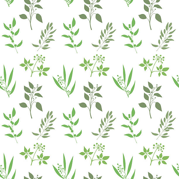 ベクターシームレスな植物の背景。緑の小枝とエンドレスパターンと - ginseng leaf berry nature点のイラスト素材／クリップアート素材／マンガ素材／アイコン素材