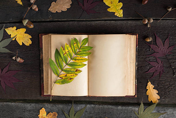 istock Vintage open notebook with colored autumn leaves over wooden background. 623487358