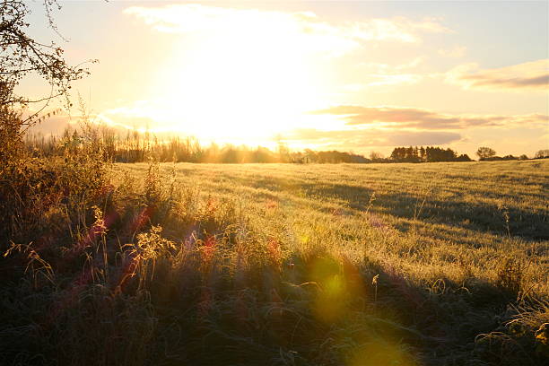istock Morning sun and frost 623488246