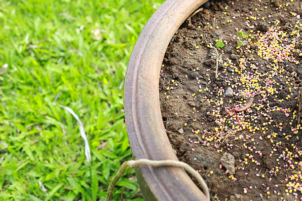 sterta kompozytowych nawozów mineralnych - fertilizer nitrogen potassium particle zdjęcia i obrazy z banku zdjęć