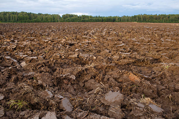 istock plowed field with tractor traces in spring time, farm soil 623497040