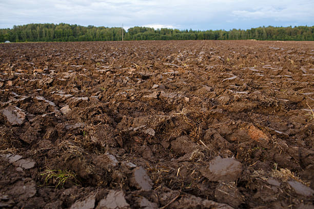 istock plowed field with tractor traces in spring time, farm soil 623497422
