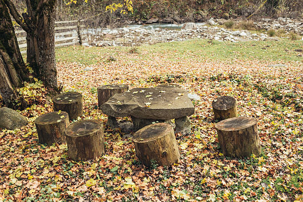 istock autumn trees and leaves in the mountain camping 623498028