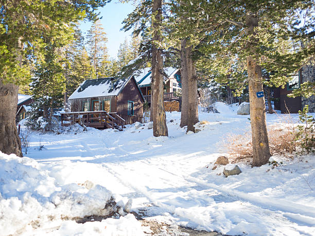 istock Near to Mammoth Lakes in Winter 623507964