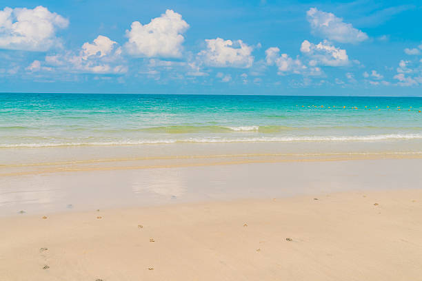 istock Beautiful white sand beach with blue sea and sky 623509534